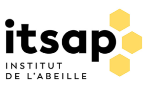 Logo-partenaire-ada-france-itsap