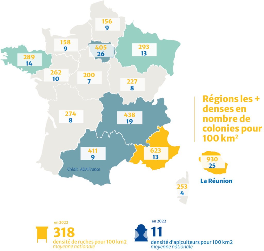 Carte de France par région, densité pour 100m2 d'apiculteurs et de colonies en 2022
