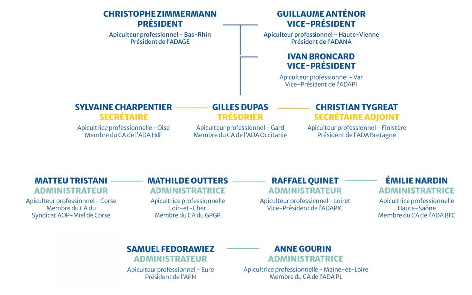 CA ADA France Organigramme