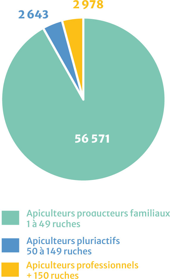 Graphique répartition des apiculteurs 2022