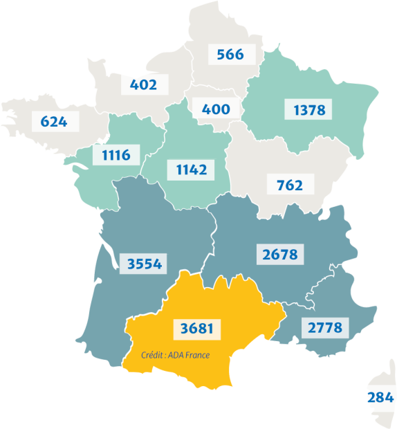 2023_Carte chiffres production miel Carte de la production de miel en France par région en 2021