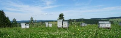 Des ruches en Bourgogne Franche Comté